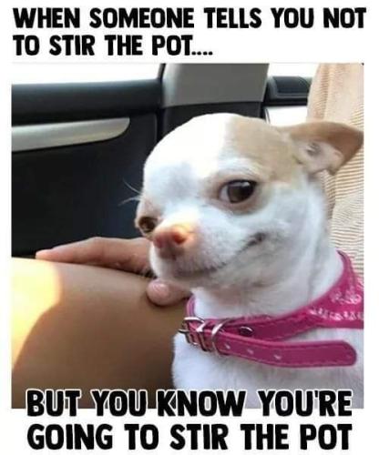 324871343_527459446009406_1842639269206311628_n