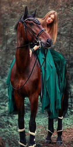 6e5415cbeb78d31b7912b840f20c962f