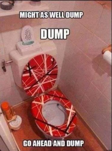 Might as well Dump in Eddie Van Halen guitar toilet seat