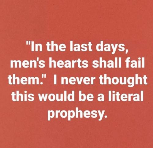 photo_2023-01-08_19-24-18