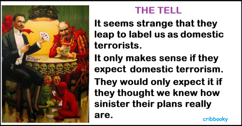 domestic_terrorists_the_tell