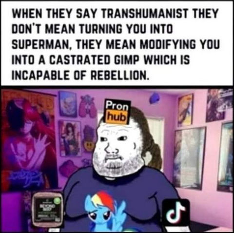 transhuman02