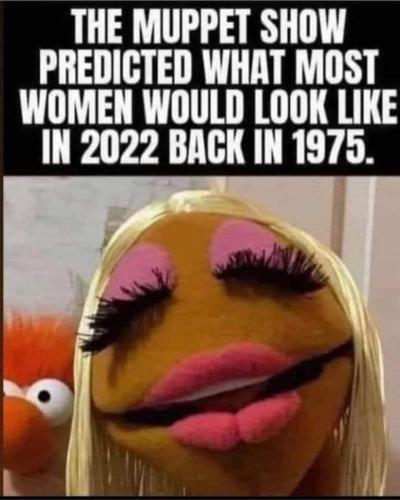 FB_IMG_1674637973175