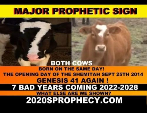 20:04:25 GMT-0500 (EST)