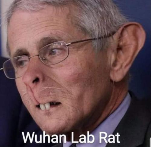 aff154dd-5929-4be0-ae52-bb966d89ffba