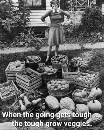 325469953_1528910044181655_6385891509608856961_n