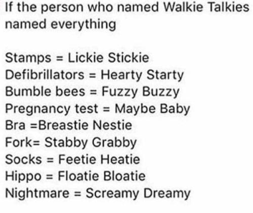 50177566_2962481197110632_4541021054650286080_n