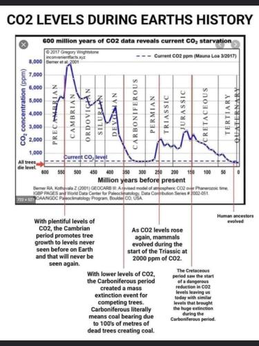 CO2 levels