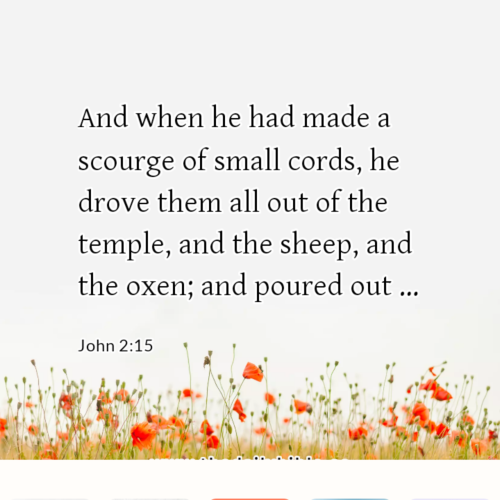dailybible_20230101-184610_John_2-15