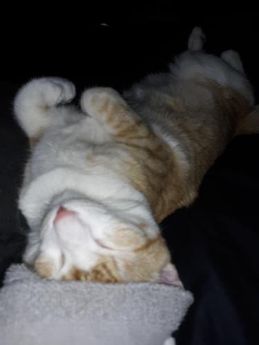 becb9bbc-5302-4097-93c2-0dcc856c3cf0