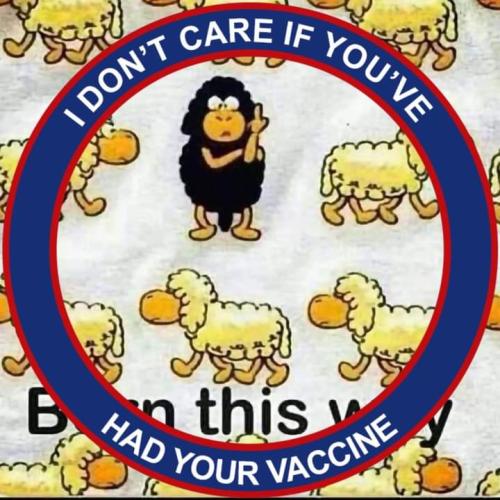 FB_IMG_1674683031976