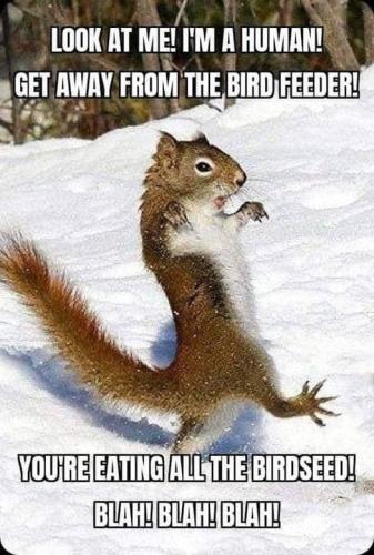 325320109_1113493116002077_9503974804656908_n