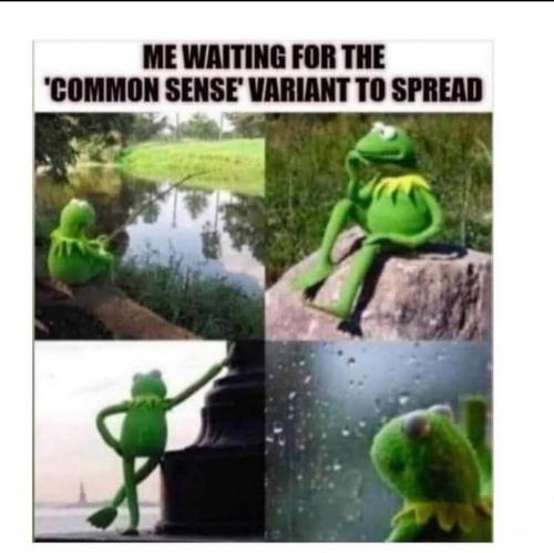 08:25:10 GMT-0500 (EST)