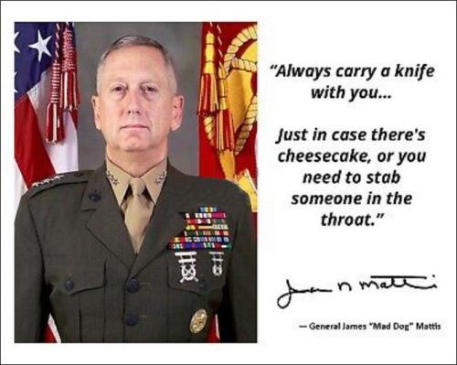 general james mad dog mattis