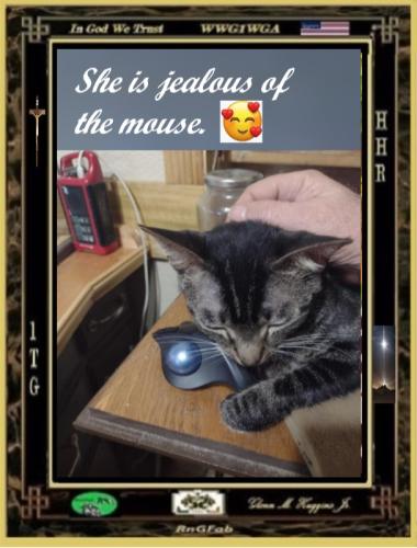 photo_2022-12-22_09-35-22