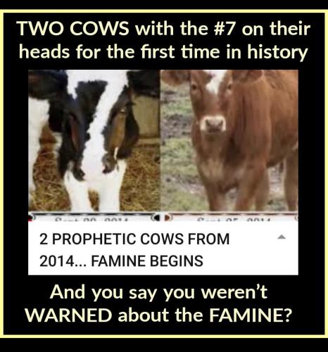 20:04:25 GMT-0500 (EST)