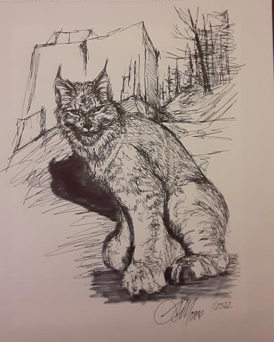 IMG_20221125_221722_867