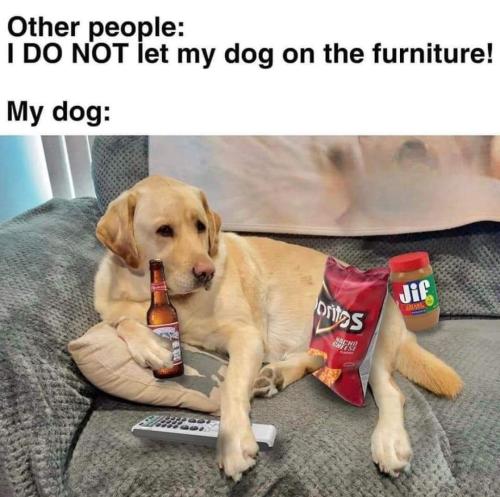 FB_IMG_1674984746058