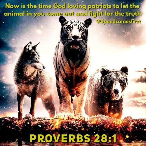 a77b8a83-a812-4ff4-996d-fddeb2b416fd