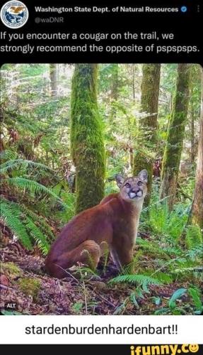 7ecda0f1-6ea2-41ef-9962-6cea5c9450a6