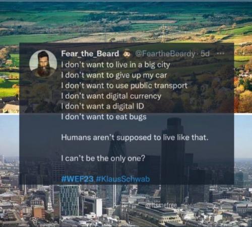 photo_2023-01-20_21-36-54