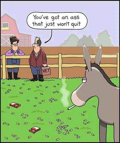 youve got an ass that just wont quit