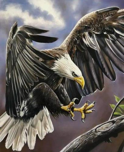 FB_IMG_1672817480889