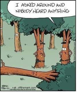 FB_IMG_1675187245449