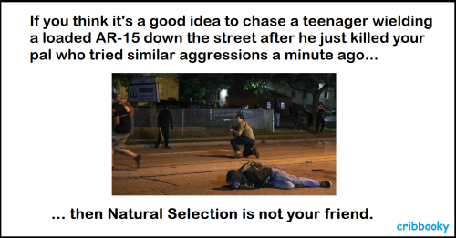 kyles_natural_selection_process