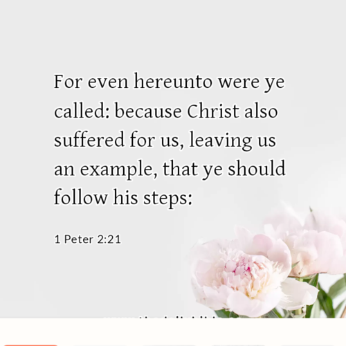 dailybible_20230113-165647_1_Peter_2-21