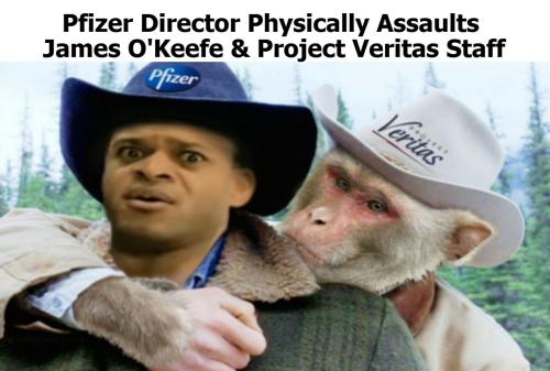 Pfizer Director Gets Owned by Project Veritas