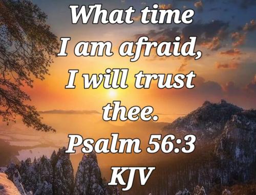 20:11:25 GMT-0800 (PST)