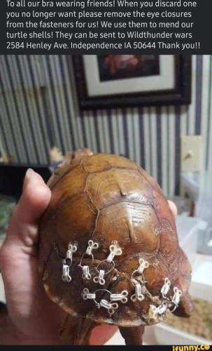 65b47bcf-e12f-4098-9e8b-aca10090fbec