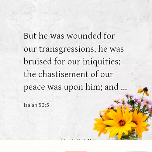 dailybible_20230106-145626_Isaiah_53-5
