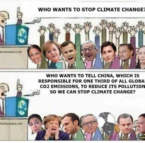 stop climate change