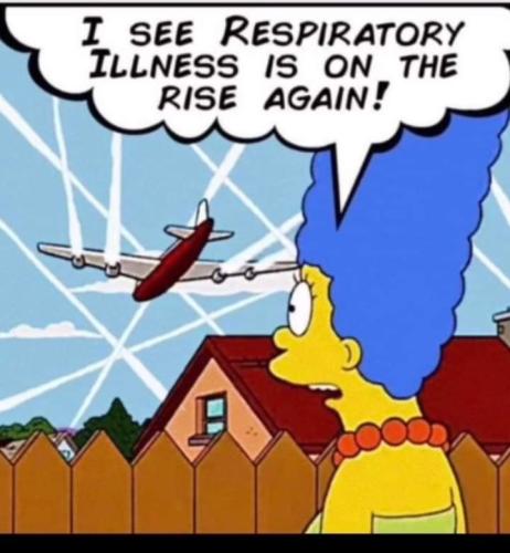 FB_IMG_1672781124787