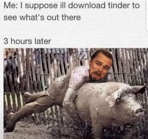 FB_IMG_1674255968815