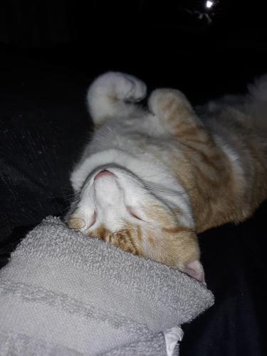 4aa94c3d-8e60-4ac1-b665-538e5bc74500