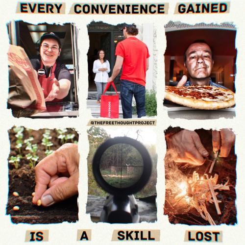 323895812_1210240312946266_2208313392756009065_n