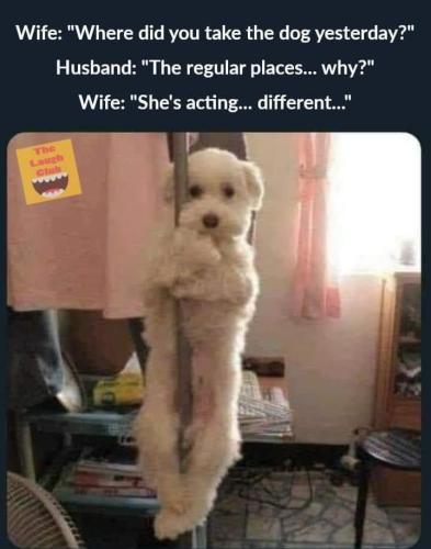 61fa8599-7775-4119-9e3d-b37d528766a3