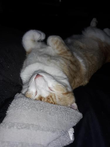 483948e4-4b64-44a1-961c-c570c71c8485