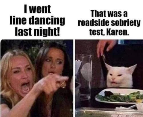 roadside_sobriety_test