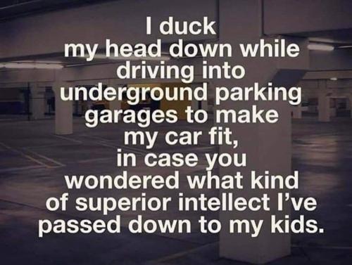FB_IMG_1673144647404