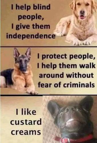 705cb4e9-0b0b-49ce-901d-28d79a24d2b7