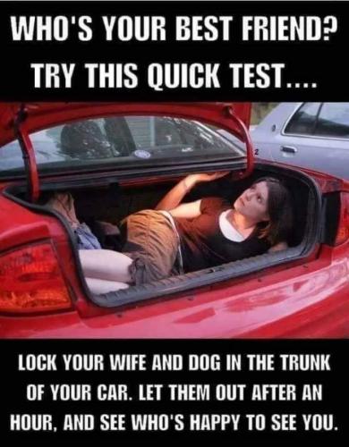 FB_IMG_1673017709984