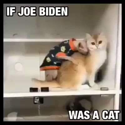 FB_IMG_1673835421324