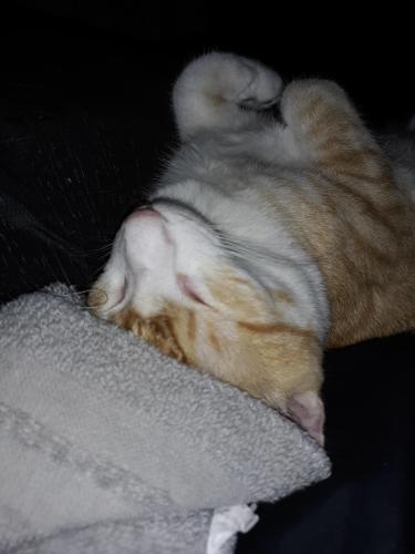 b7c43e46-ea2f-4919-a85b-1ff0baaee560