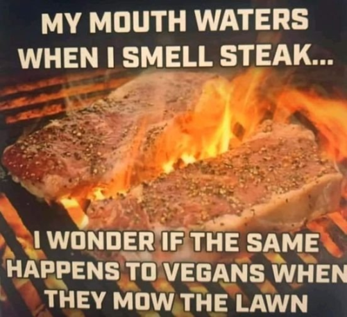 325332728_5974911262575091_7267278054441262549_n