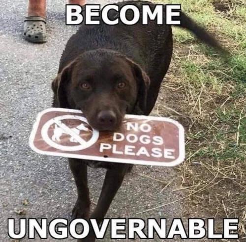 gov ungov