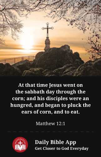 2023-01-171674000271607